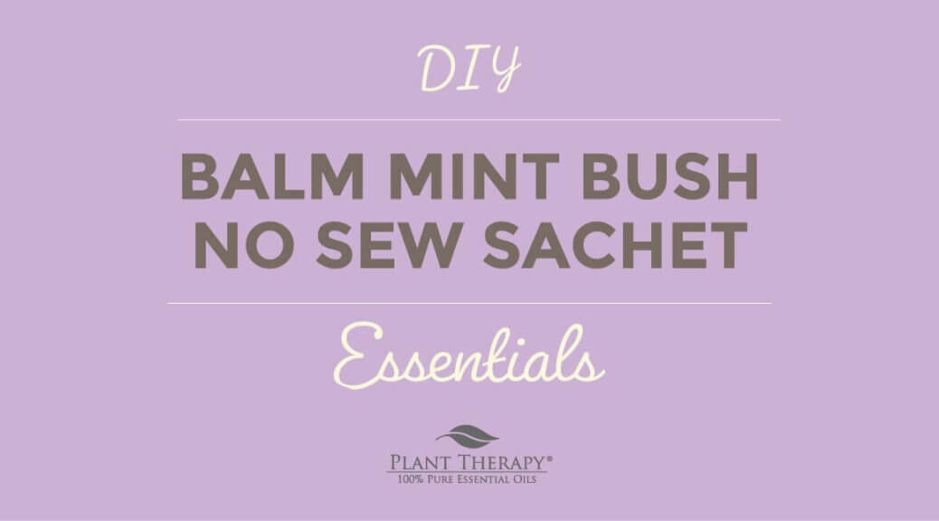 http://www.planttherapy.com/cdn/shop/articles/PlantTherapy-Essentials-BalmMintBushNoSewSachet-Blog-1200X627-01-1-1038x576.jpg?v=1683725862