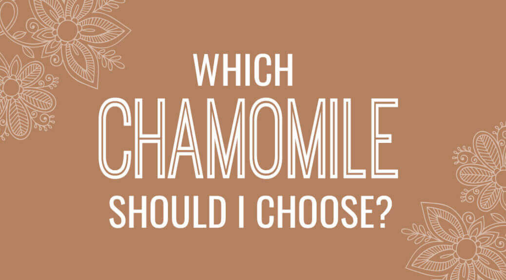 Comparison of Chamomile Essential Oils