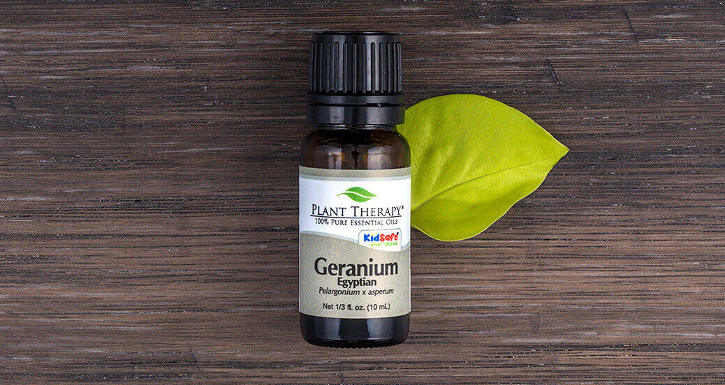 Plant Therapy Geranium Egyptian Organic Essential Oil | 100% Pure