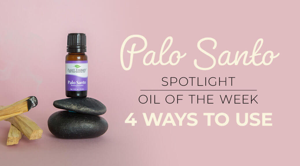 Palo Santo Essential Oil: Meditation, Uses and Benefits – Plant Therapy