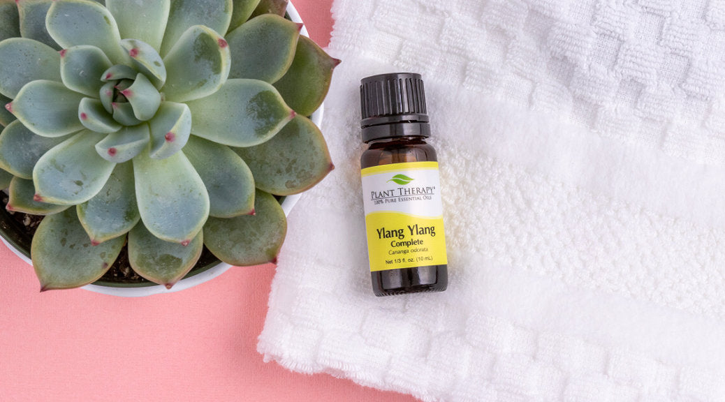 OIL SPOTLIGHT  TOP USES AND BENEFITS OF FRANKINCENSE ESSENTIAL OIL - Fresh  Mommy Blog