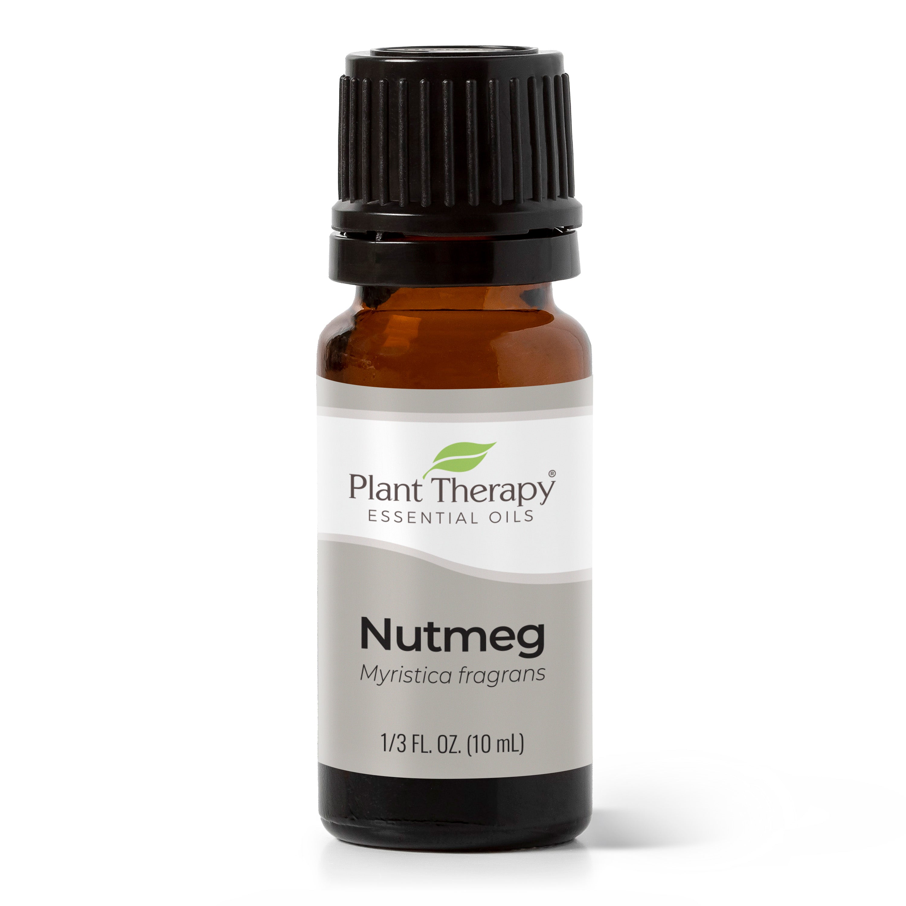 Nutmeg Essential Oil | Pure & Natural Therapeutic Grade | 10 ml