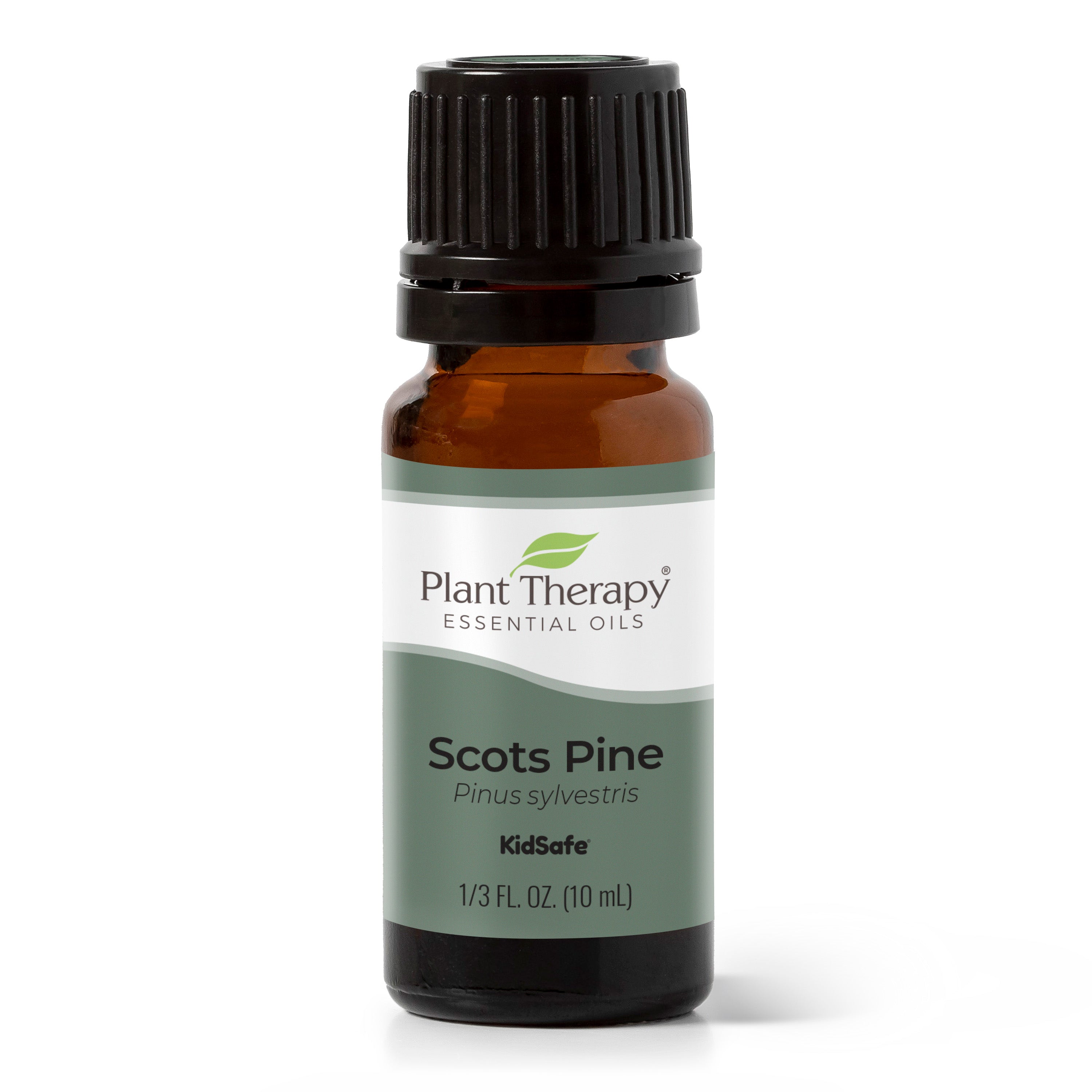 Edens Garden Pine- Scots Essential Oil, 100% Pure Therapeutic Grade  (Undiluted Natural/Homeopathic Aromatherapy Scented Essential Oil Singles)  10 ml