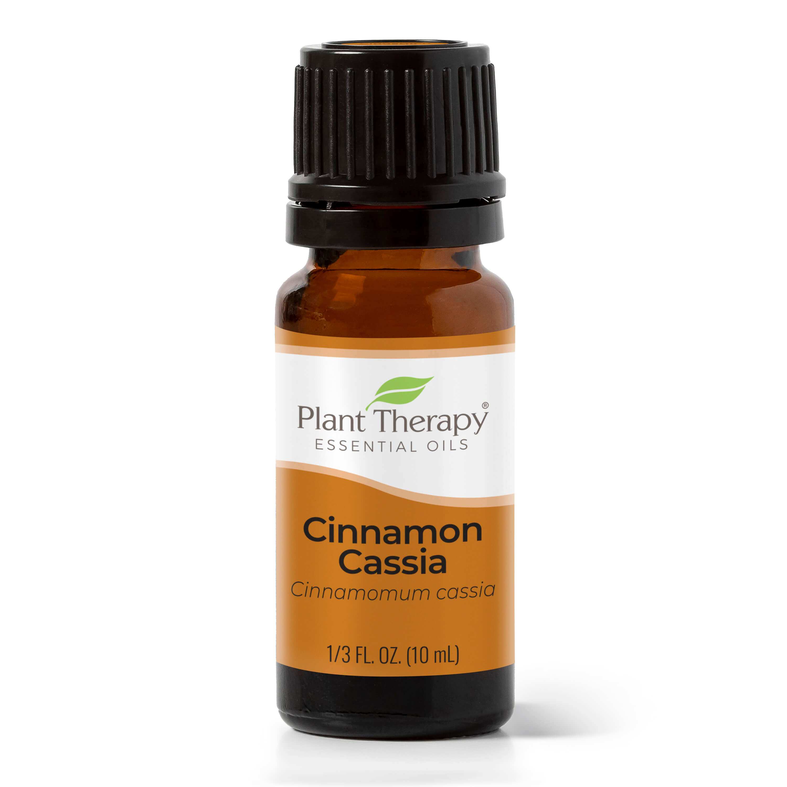 Organic Cinnamon Essential Oil (4 oz), USDA Certified Organic, Therapeutic  Grade, 100% Pure and Natural, Perfect for Aromatherapy, Diffuser, DIY by