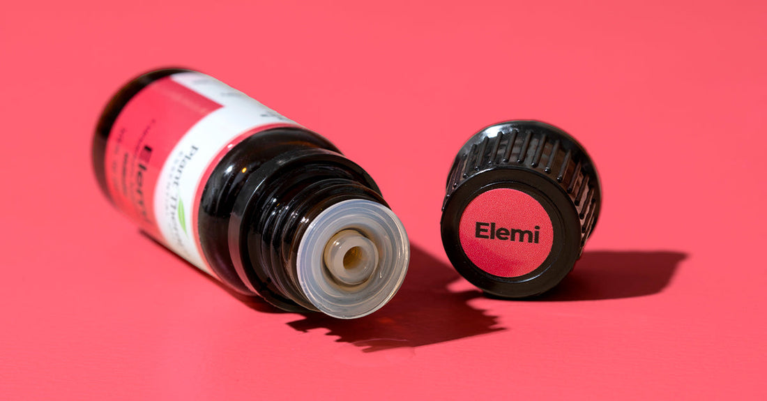 Elemi Essential Oil: A Hidden Gem for Skin & Serenity