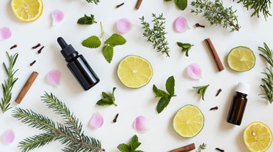 Isolates vs. Essences vs. Essential Oils: Everything You Need to Know