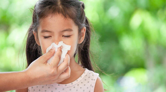 KidSafe Allergies: Which KidSafe Blend Should I Choose?