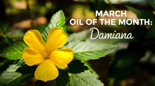 March Essential Oil of the Month: Damiana