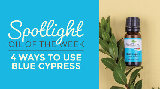 Top 4 Ways to Use Blue Cypress Essential Oil
