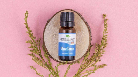 4 Ways to Use Blue Tansy