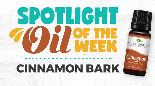 Cinnamon Bark Essential Oil Spotlight of the Week