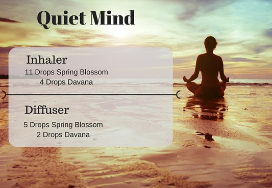 Recipes For A Quiet Mind (Inhaler & Diffuser)