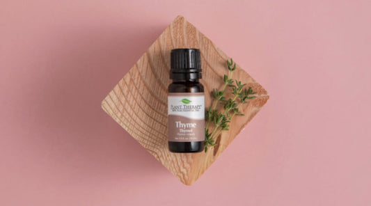 Thyme Essential Oil: The Definitive Guide