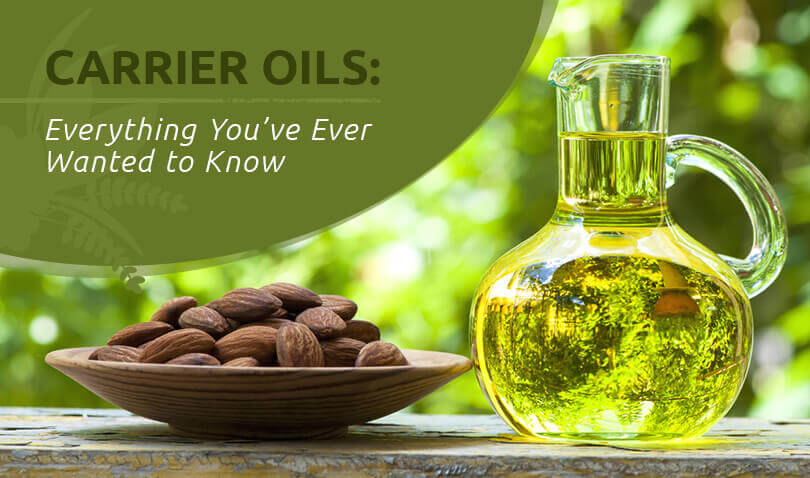 What is a Carrier Oil and How Do You Use It? – Plant Therapy