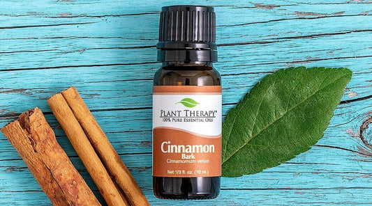 Cinnamon Essential Oils: The Three Types and How They're Different