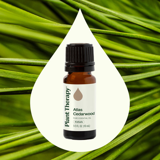 Atlas Cedarwood Essential Oil