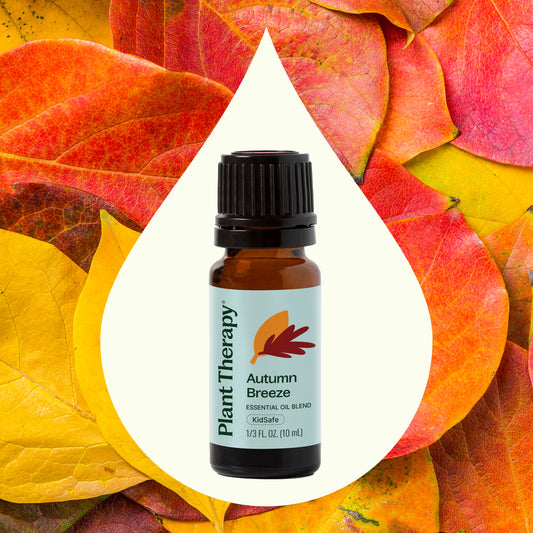 Autumn Breeze Essential Oil Blend