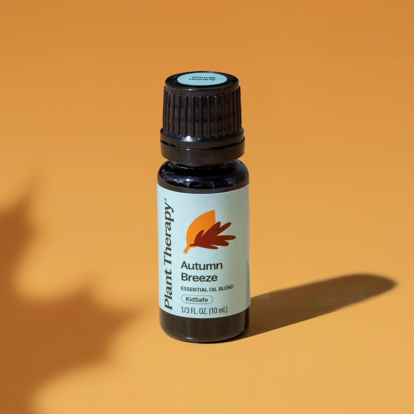 Autumn Breeze Essential Oil Blend