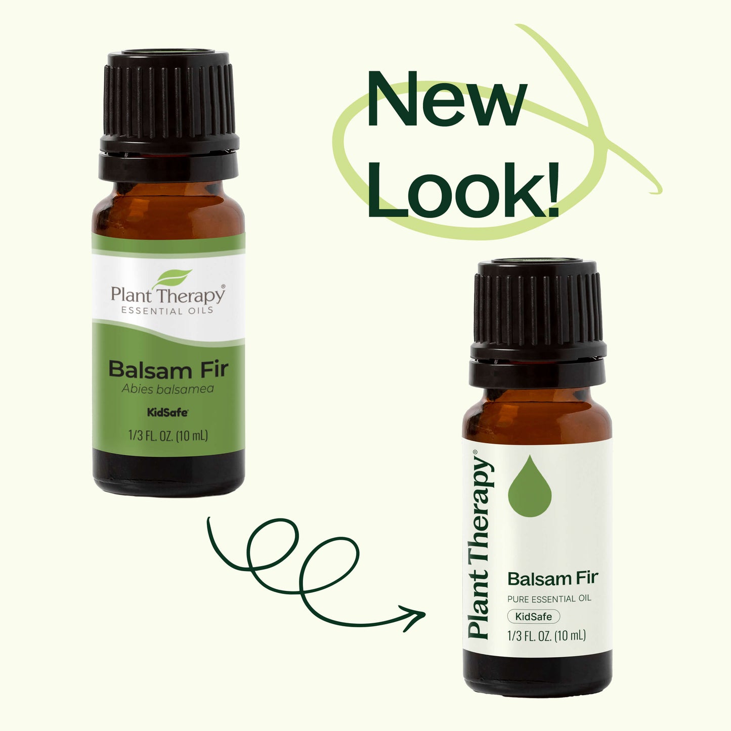 Balsam Fir Essential Oil