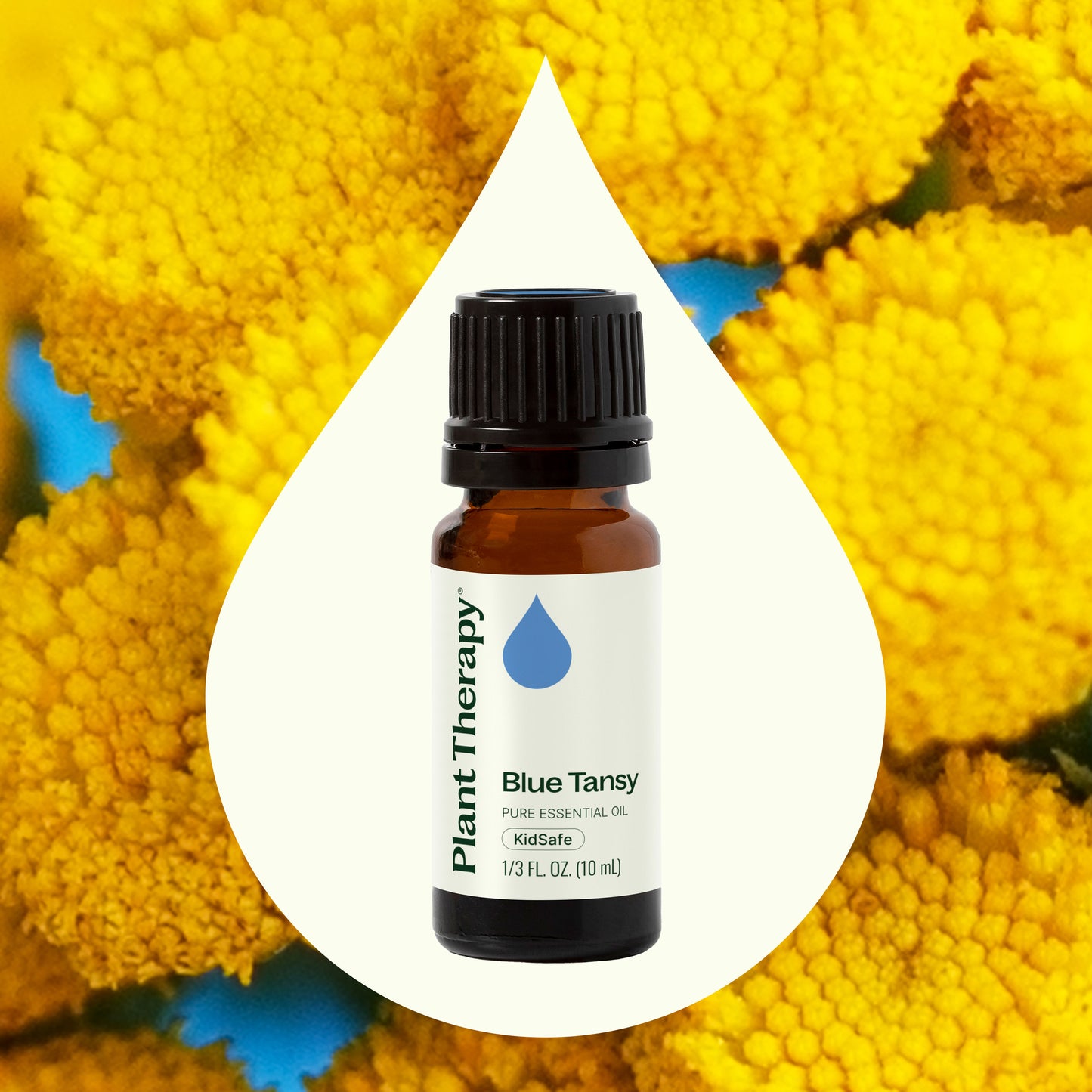 Blue Tansy Essential Oil