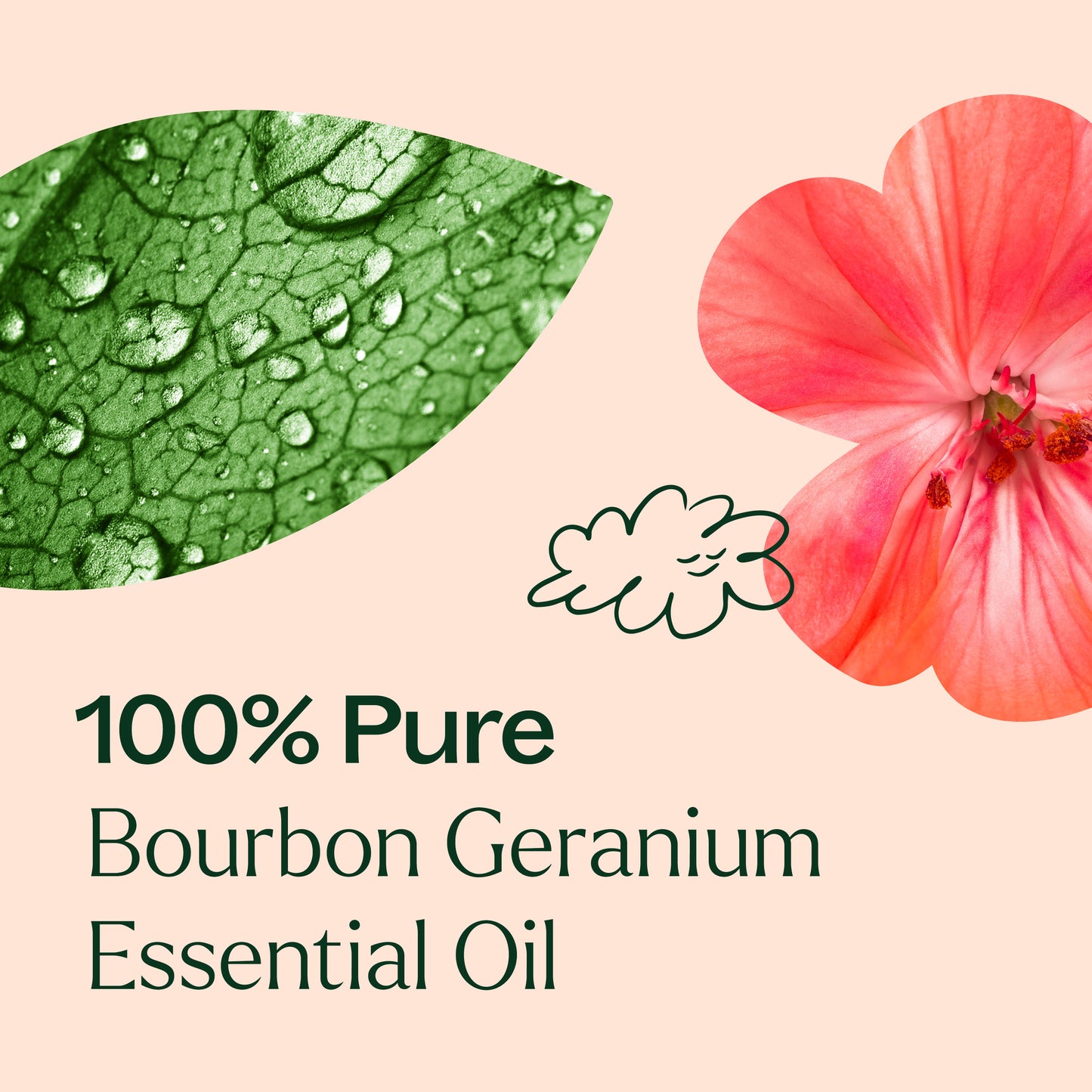 Bourbon Geranium Essential Oil