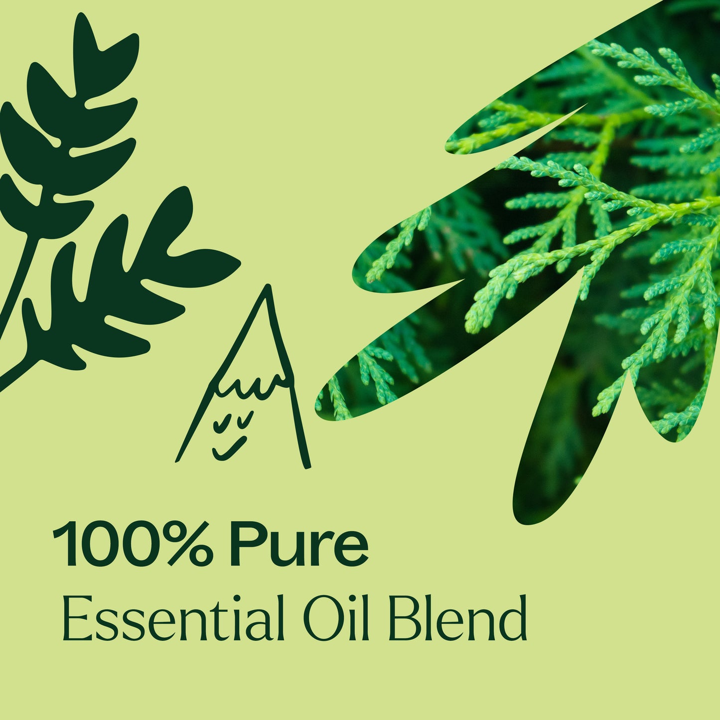 100% pure essential oil blend