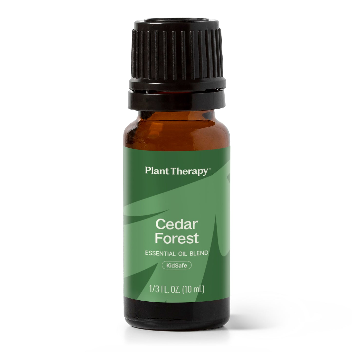 Cedar Forest Essential Oil Blend