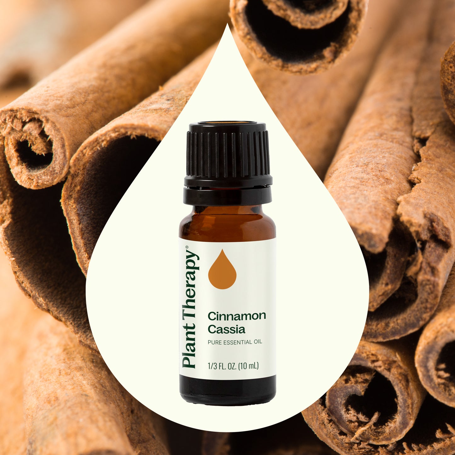 Cinnamon Cassia Essential Oil