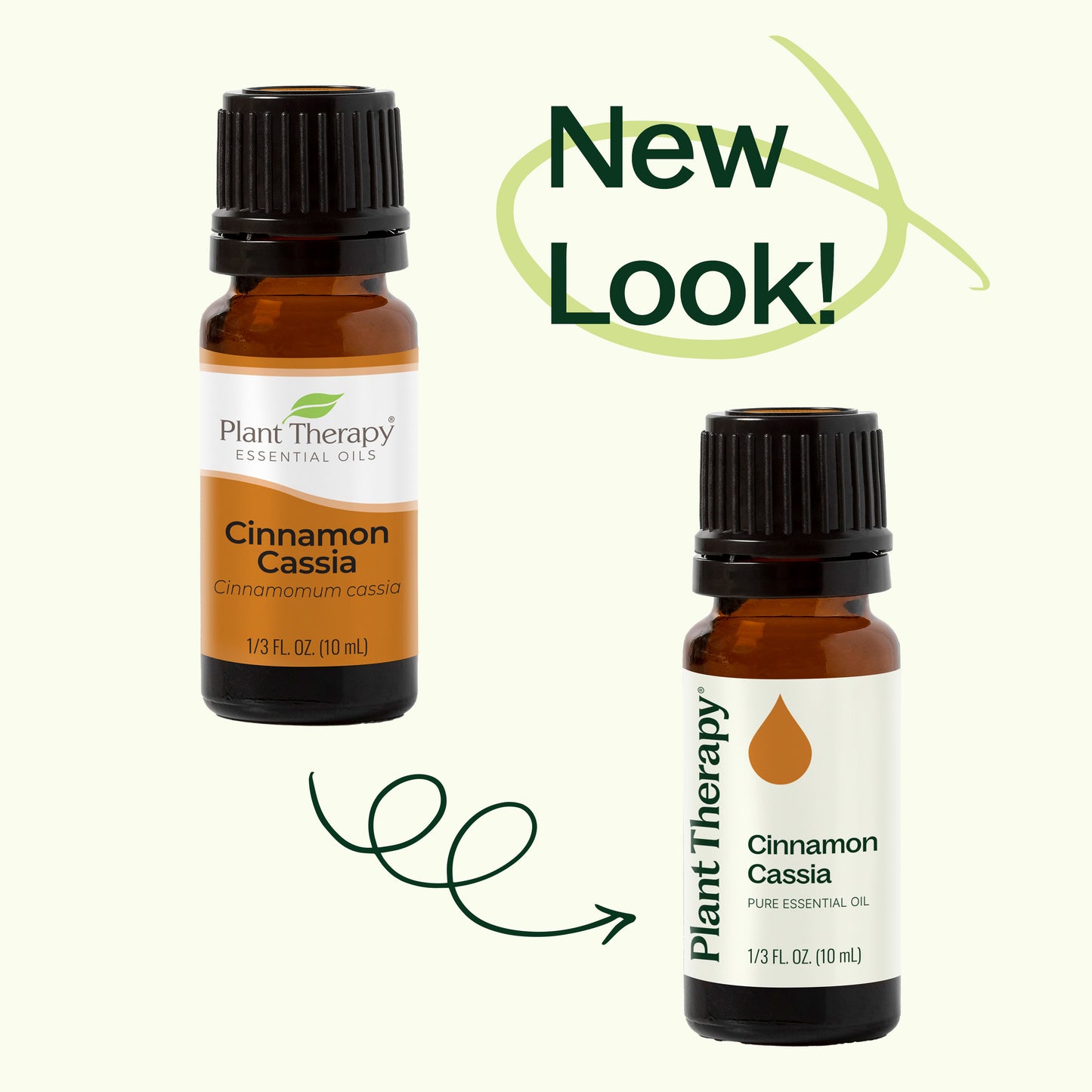 Cinnamon Cassia Essential Oil