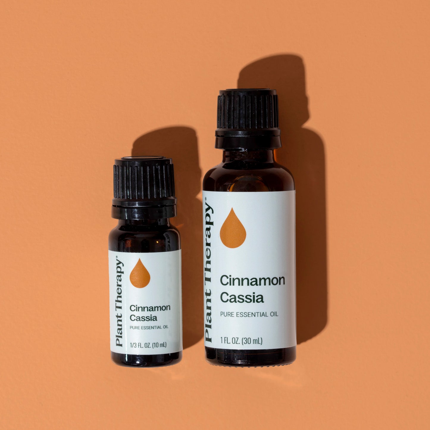 Cinnamon Cassia Essential Oil