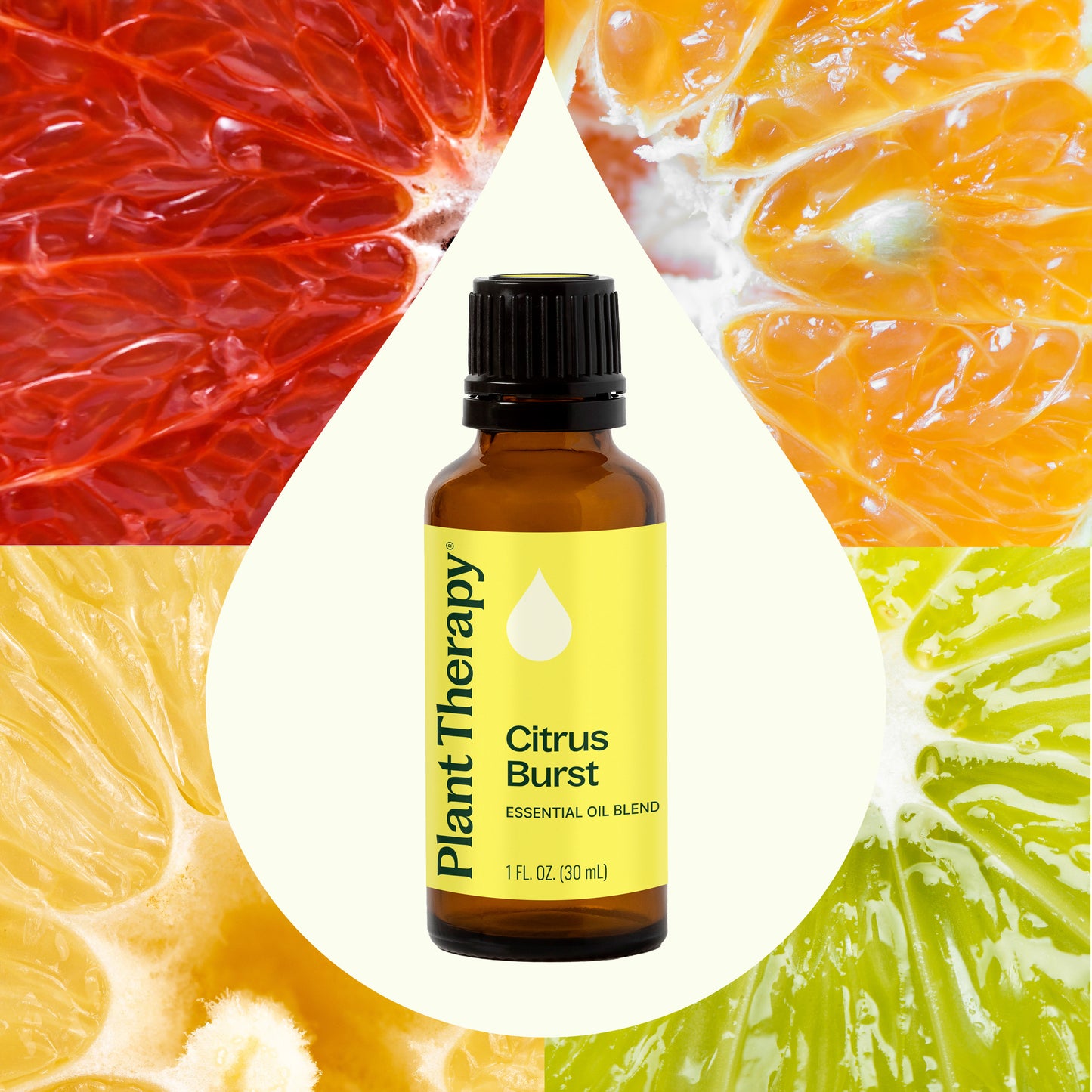 Citrus Burst Essential Oil Blend