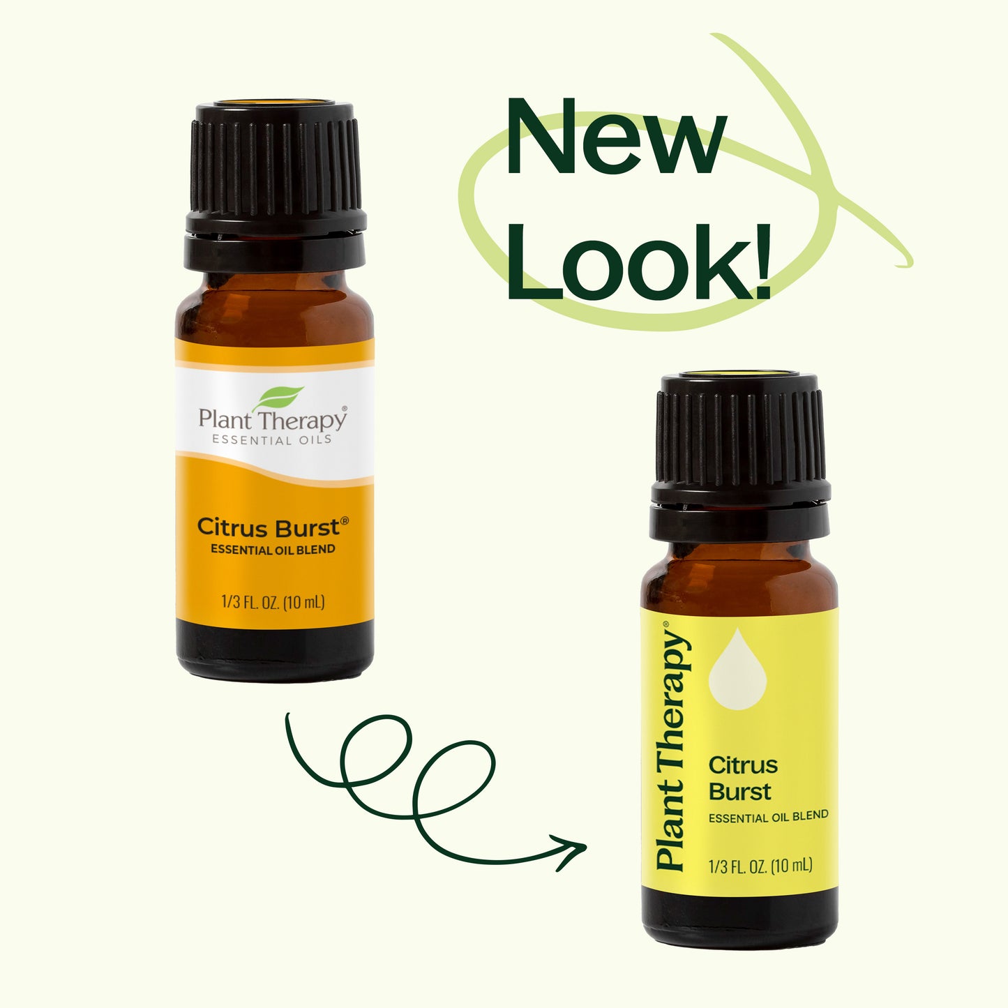 Citrus Burst Essential Oil Blend