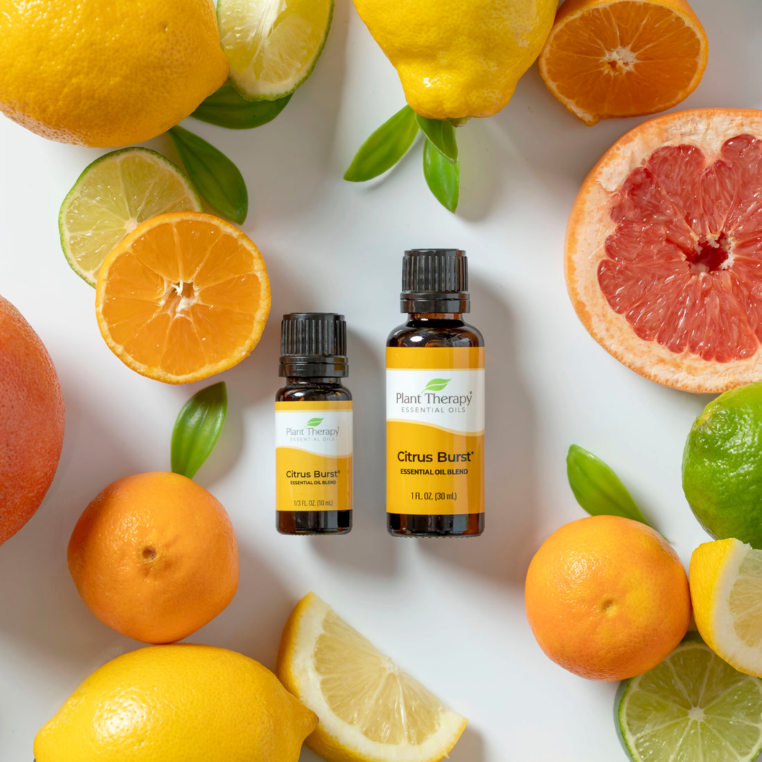 Citrus Burst Essential Oil Blend – Plant Therapy