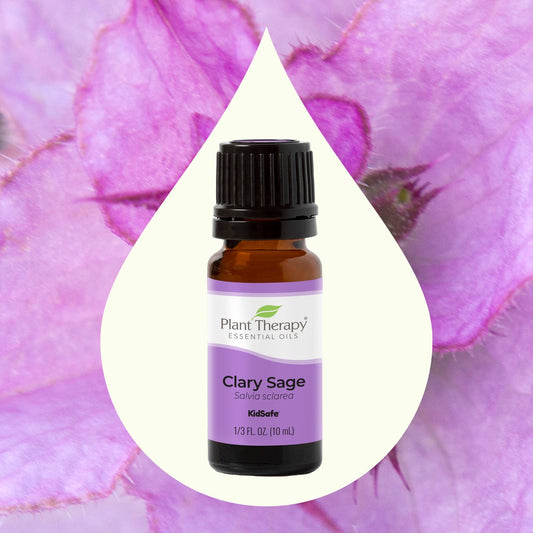 Clary Sage Essential Oil key ingredient image