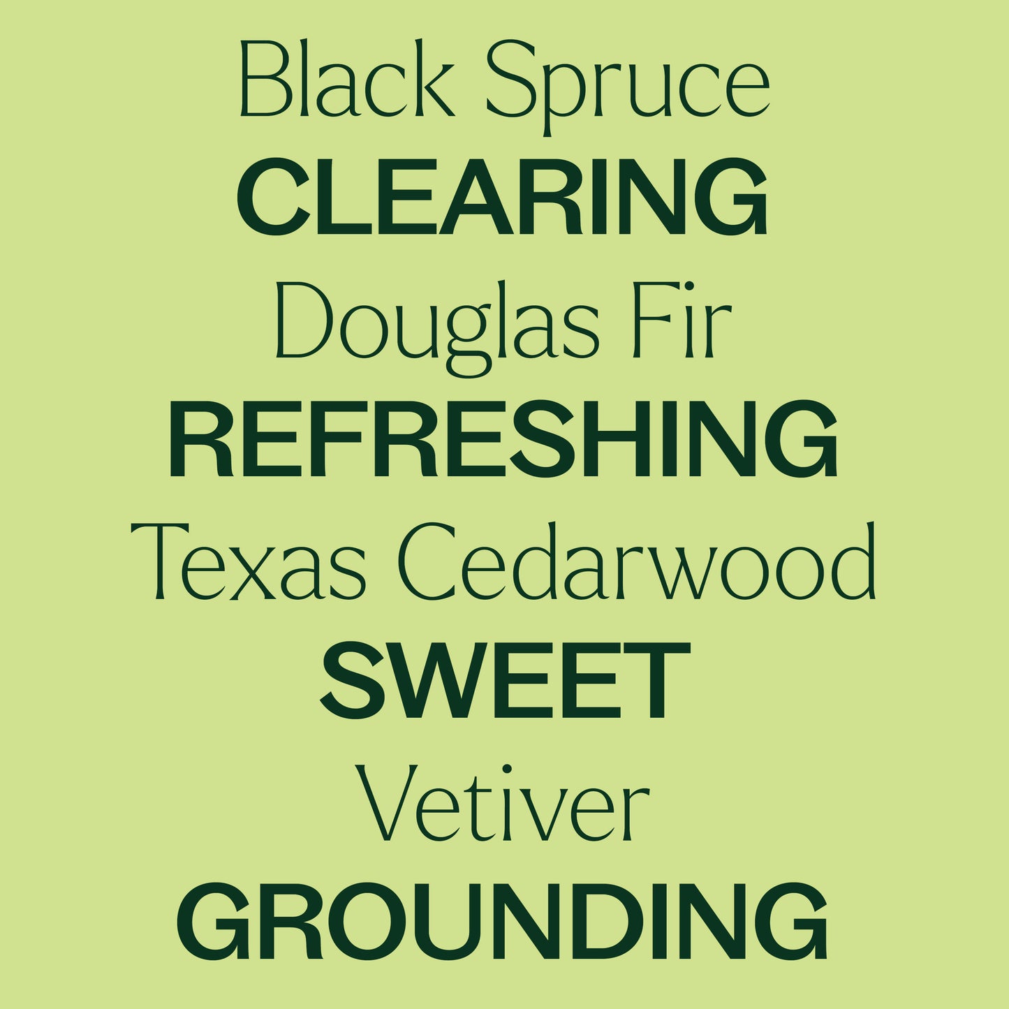 black spurce, douglass fir, texas cedarwood, vetiver. clearing, refreshing, sweet, grounding