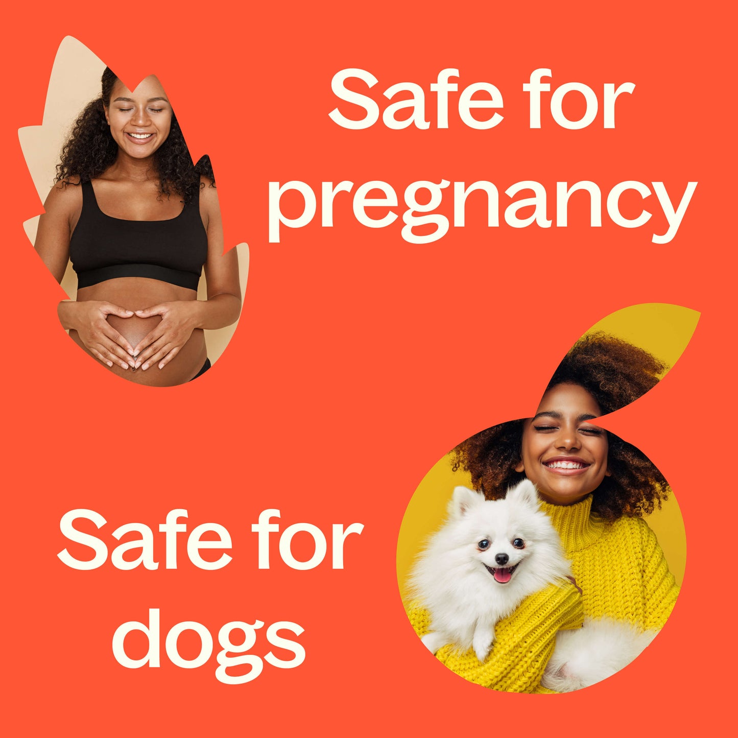 safe for pregnancy, safe for dogs