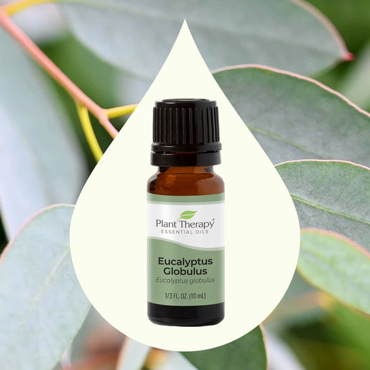 Eucalyptus Globulus Essential Oil with key ingredient imagery