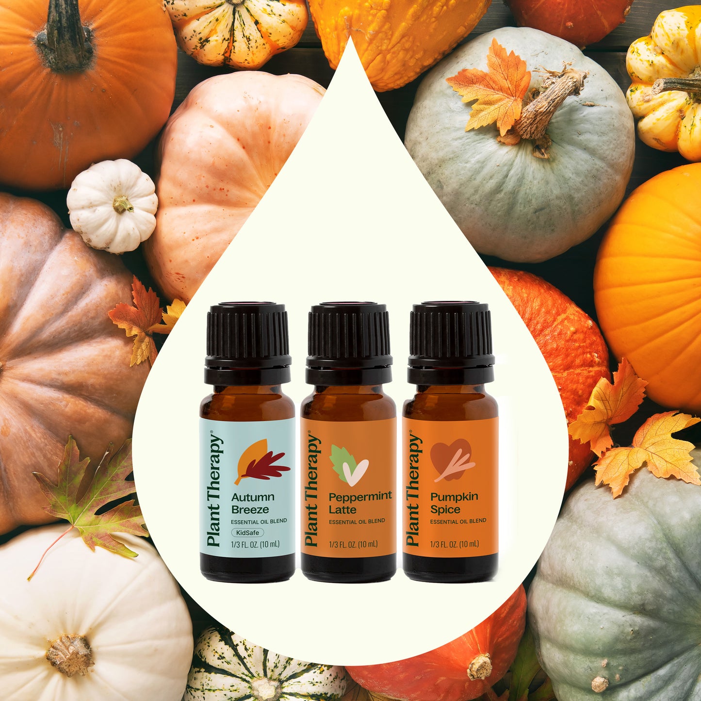 Fall Festival Essential Oil Blend Set