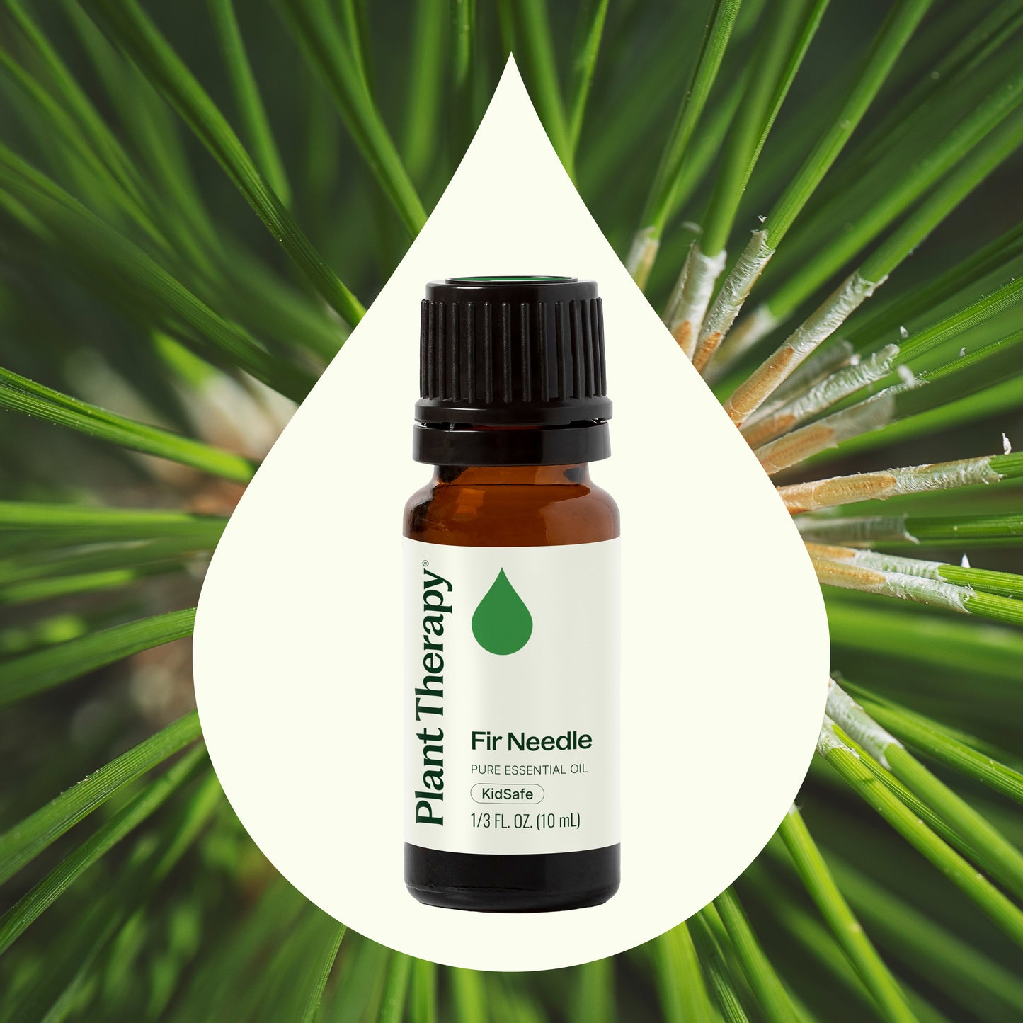 Fir Needle Essential Oil