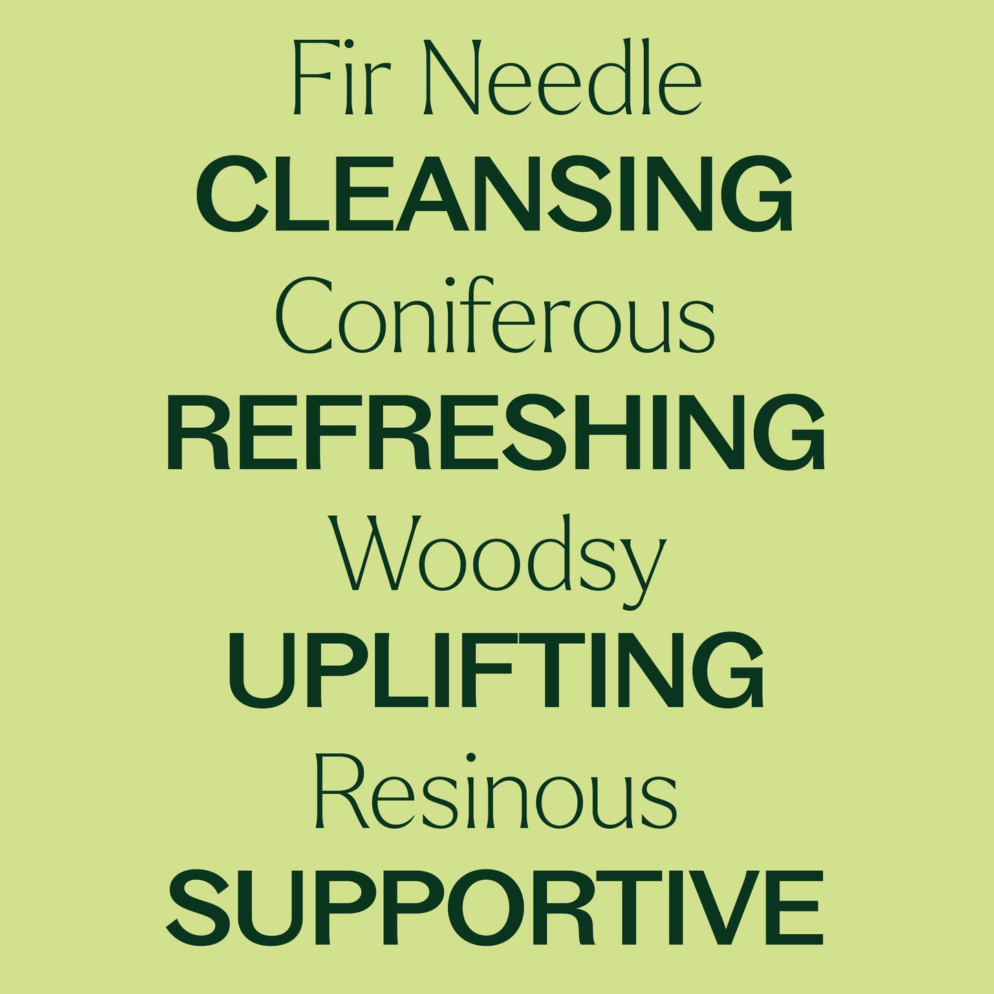 Fir Needle Essential Oil