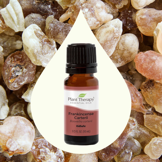 frankincense carterii essential oil key ingredient image