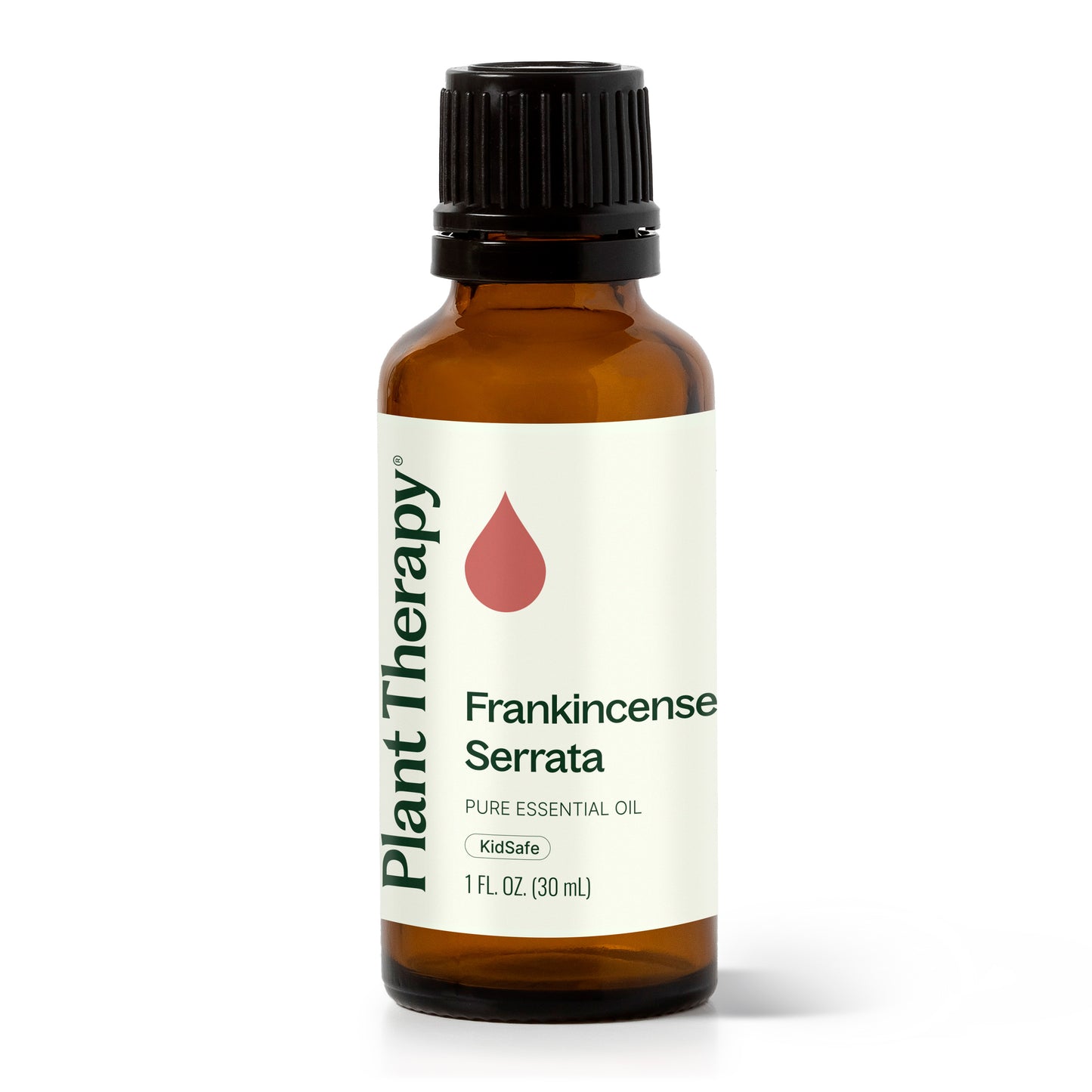 Frankincense Serrata Essential Oil