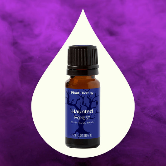 Haunted Forest Essential Oil Blend