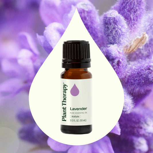 Lavender Essential Oil