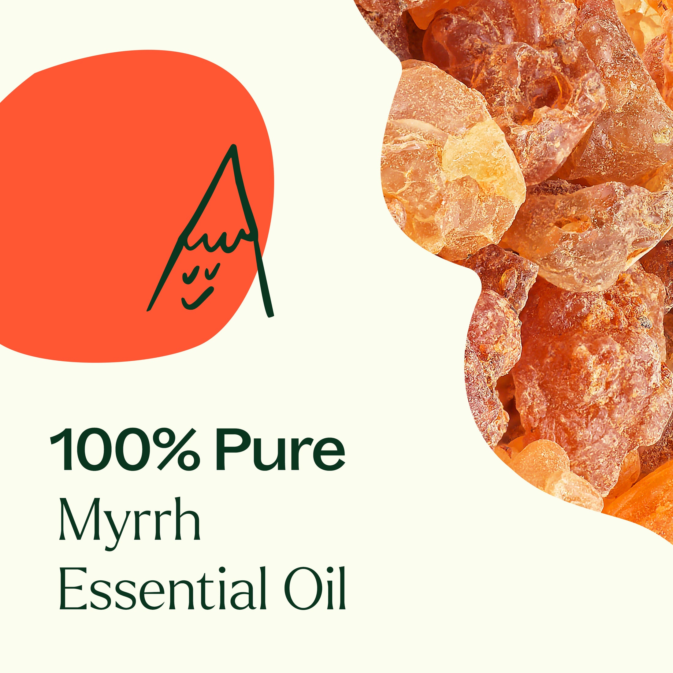 Myrrh Essential Oil Plant Therapy 0538