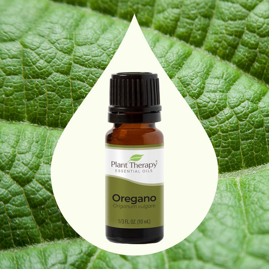 Oregano Essential Oil key ingredient image