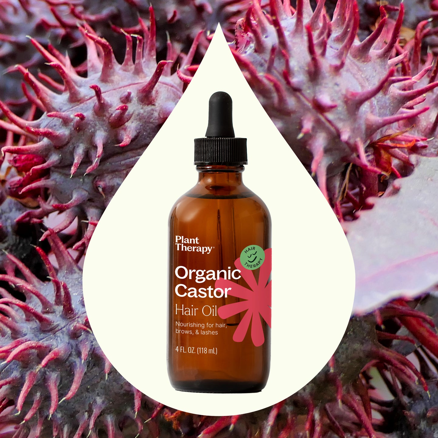 Organic Castor Oil