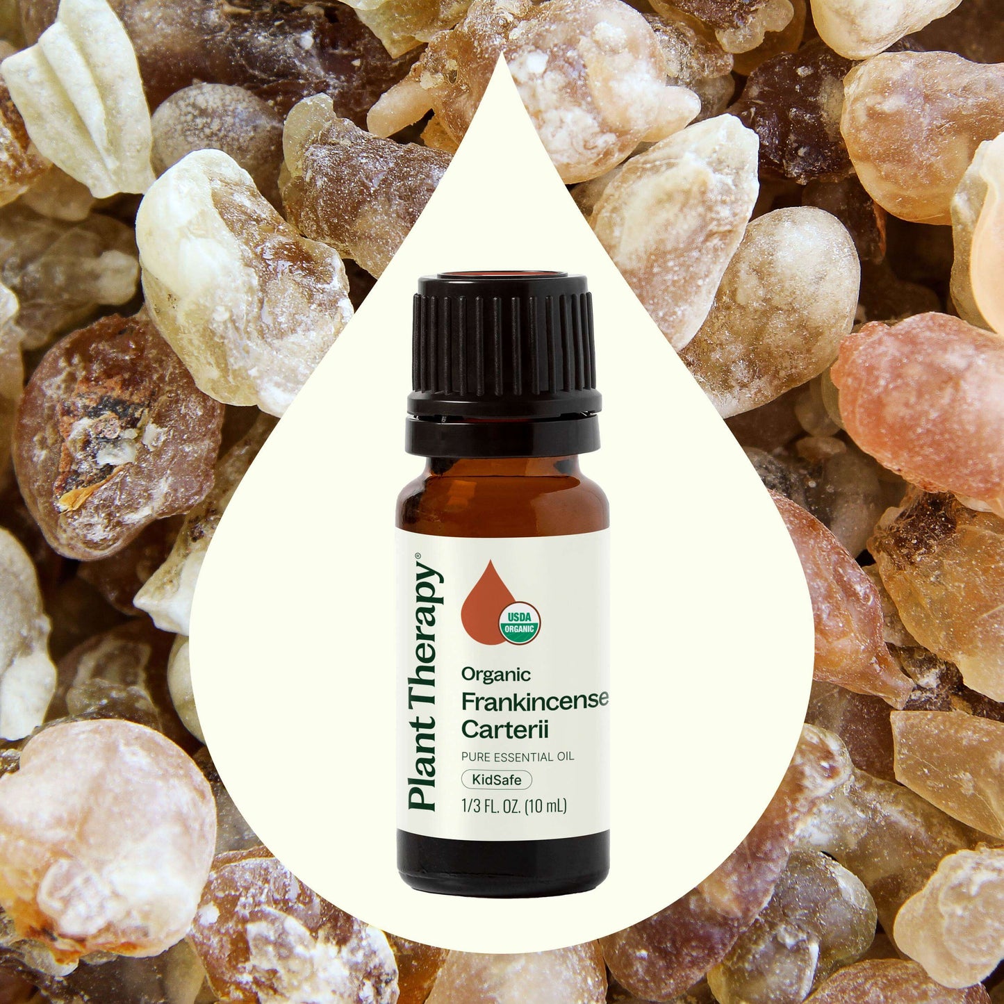 Organic Frankincense Carterii Essential Oil