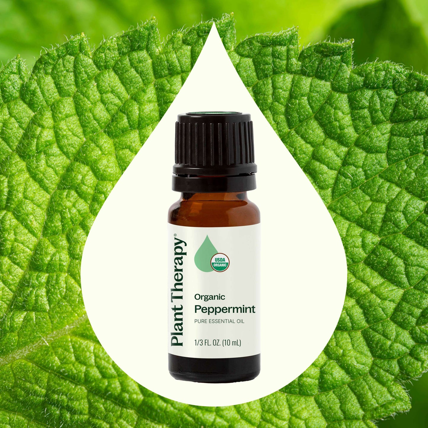 Organic Peppermint Essential Oil