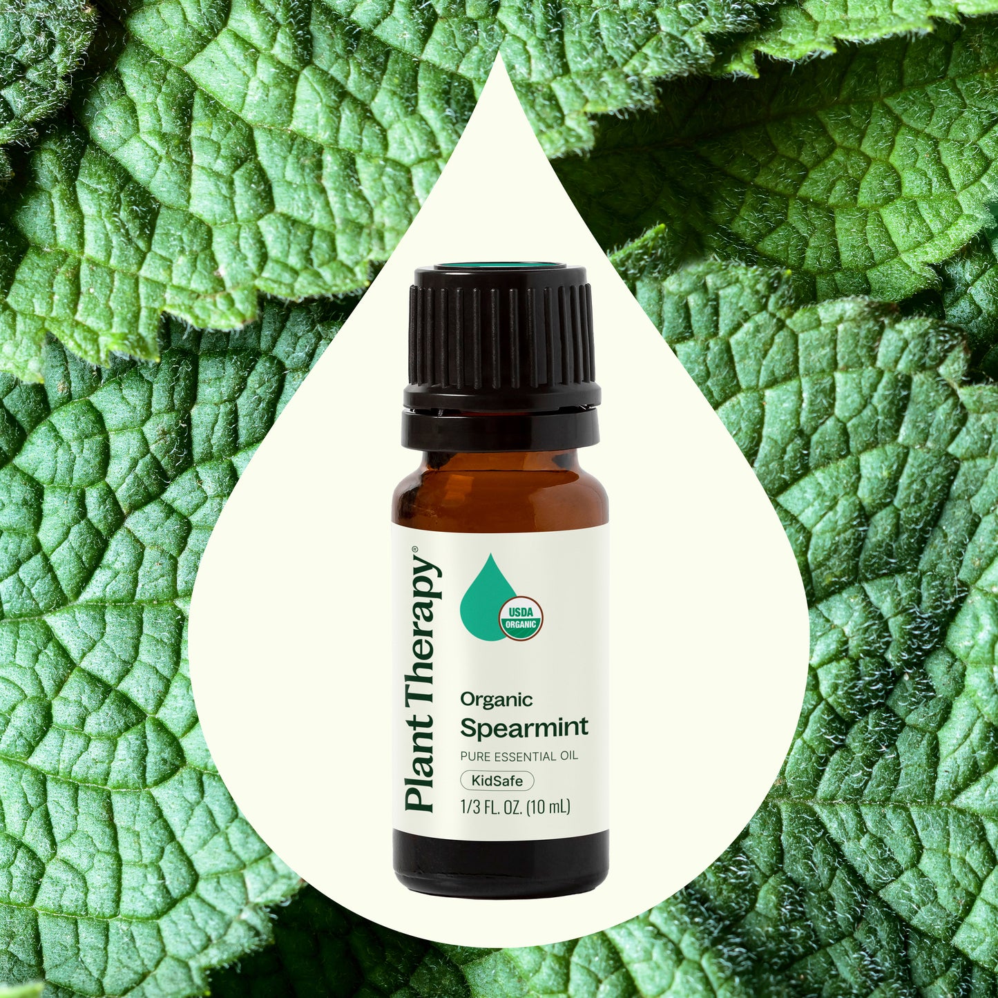 Organic Spearmint Essential Oil